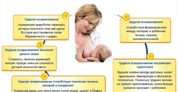 Можно ли кормить грудным молоком при температуре у мамы комаровский
