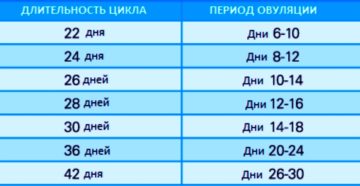 Когда Наступает Овуляция При 26 Дневном Цикле