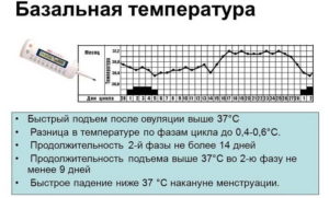 Температура после овуляции 37 и не опускается