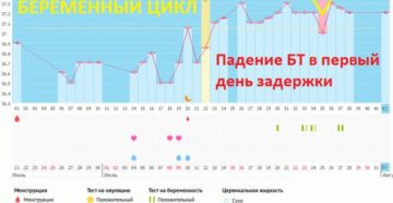 37 температура при задержке месячных