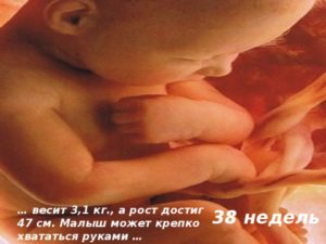 Сильный тонус матки на 38 неделе беременности