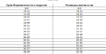 Сколько весит миома 16 недель