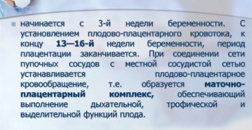 Низкая плацентация при беременности. Низкая плацентация при беременности 20 недель. Низкая плацентация при беременности 20 21 неделя. Низкая плацентация при беременности 19 недель. Низкое прикрепление плаценты при беременности 19 недель.