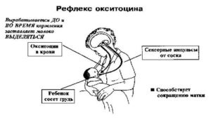 Как окситоцин влияет на ребенка