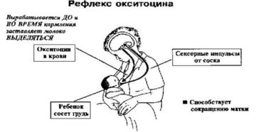 Как окситоцин влияет на ребенка