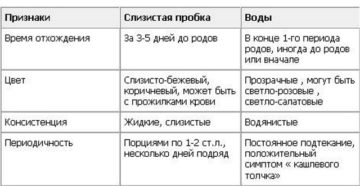 После того как отошли воды сколько есть времени