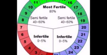 Может ли овуляция быть на 7 день после месячных