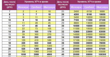 Хгч после имплантации по дням в моче