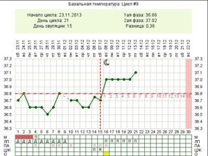 После овуляции бт 36 8