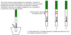 Как Делают Тест На Беременность Видео