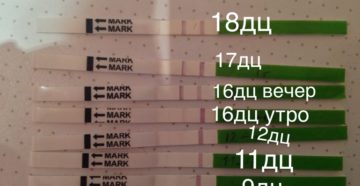 Форум после овуляции болит живот
