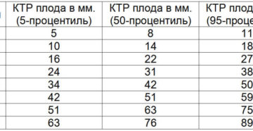 Ктр плода 10 недель