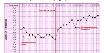Базальная Температура Утром И Вечером При Беременности