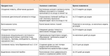 Отходит слизистая пробка на 40 неделе когда роды