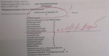 Enterococcus faecalis в посеве на флору