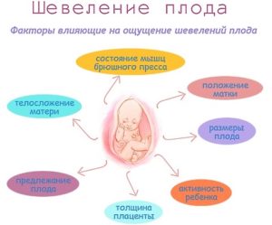 Шевеление плода при беременности когда начинается при третьей беременности
