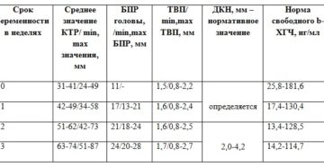 Твп плода в 12 недель норма таблица