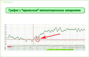 Может ли быть имплантационное западение на 4 день после овуляции