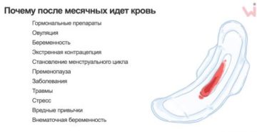 Месячных не было 2 месяца а теперь идут 2 недели