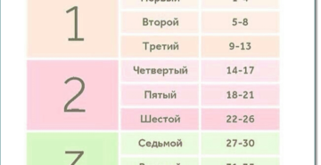 25 Неделя беременности сколько месяцев получается