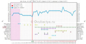Овуляция как часто после 35 лет