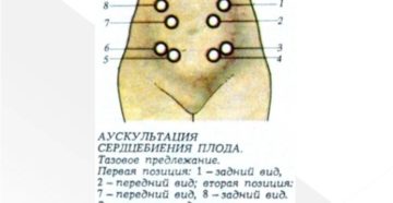 Можно ли почувствовать сердцебиение плода через живот рукой