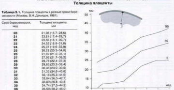 Размеры плаценты по неделям беременности таблица