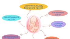 Шевеление плода при беременности когда начинается при третьей