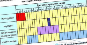 Цикл 26 дней на какой день овуляция запланировать девочку