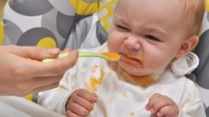 Первый прикорм кабачок ребенок не ест