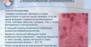 Клебсиелла пневмония при беременности в моче