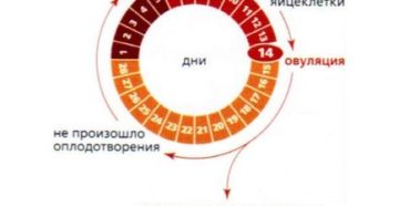 Можно ли забеременеть когда задержка месячных