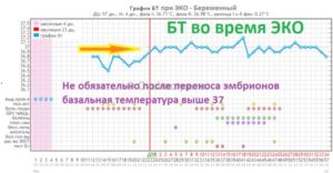 Температура 37 при беременности на 11 неделе беременности