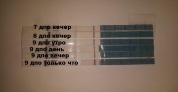 10 дпо тест отрицательный есть ли шанс на беременность