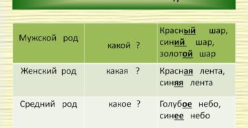 На какие вопросы отвечает женский мужской и средний род