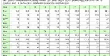 Вес плода в 38 недель беременности норма