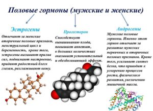 Мужской гормон как называется у женщин