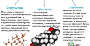 Мужской гормон как называется у женщин