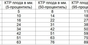 Ктр плода 5 неделе