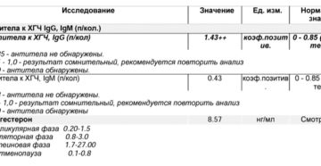 Антитела к хгч igm и антитела к хгч igg