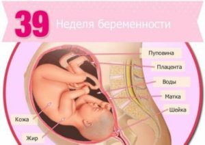 Температура 38 беременность 39 недель