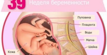 Температура 38 беременность 39 недель