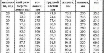 Окружность головы плода по неделям