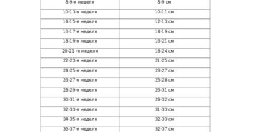 Высота дна матки на 14 неделе беременности