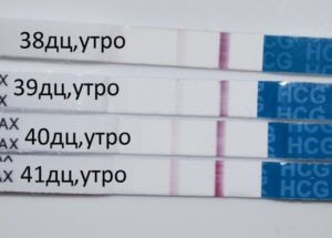 40 день цикла нет месячных тест отрицательный