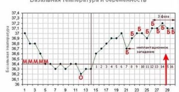 Базальная Температура Вечером При Беременности На Ранних