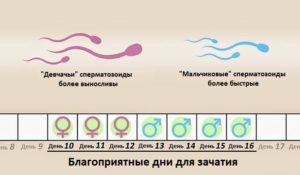 Какая Поза Лучше Для Зачатия Ребенка Картинки