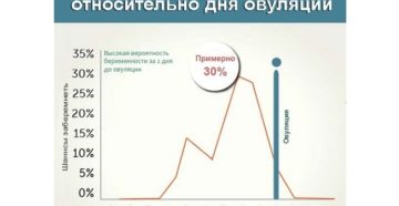 Па за 1 день до овуляции вероятность зачатия