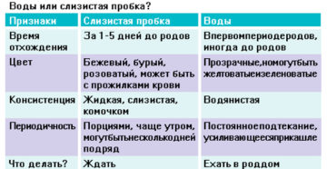 Если отошли воды через сколько начнутся роды у повторнородящих