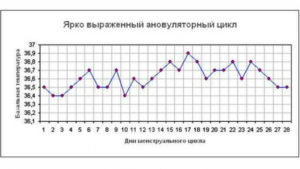 График бт при ановуляторном цикле